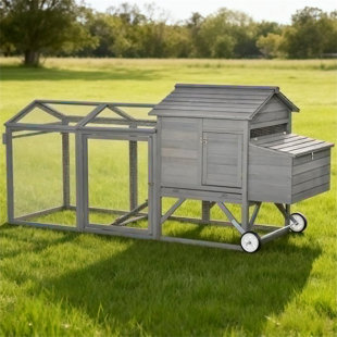 Poulailler en bois