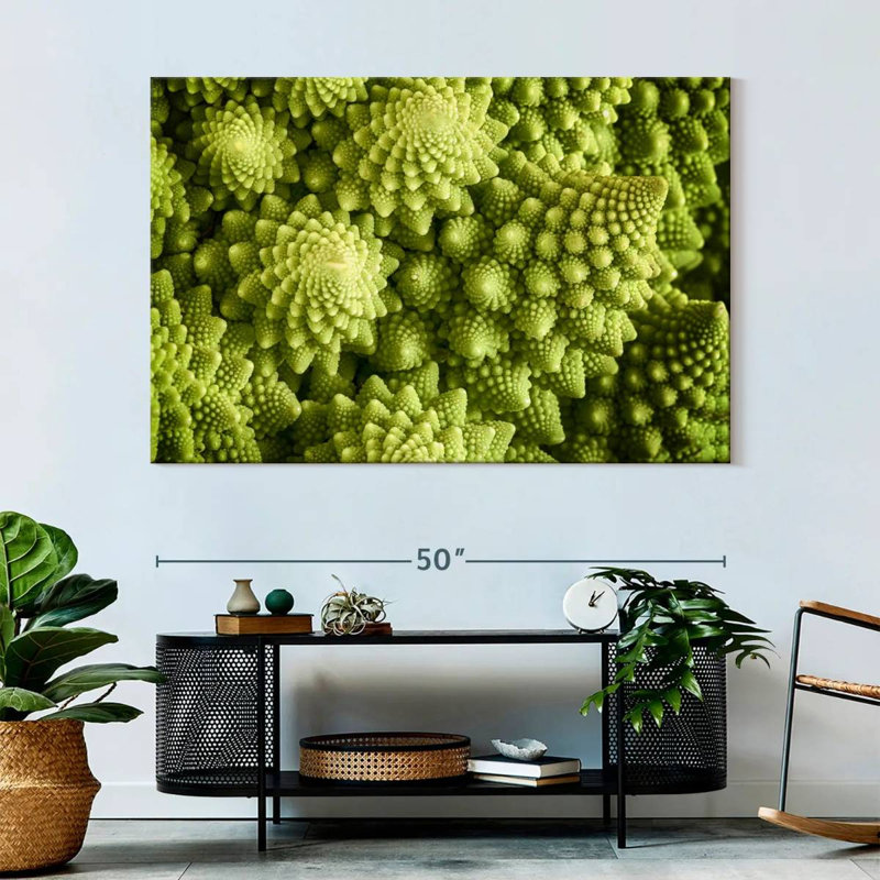 Fresh Romanesco Broccoli, 34" H x 51" W