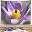 Tapisserie floral mauve en fleur-28486902