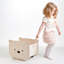 Pull Along Bear Cart