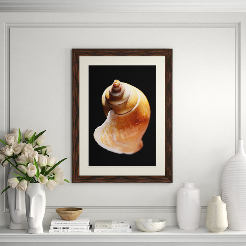Large Shell 8 Print