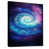 Black Floater Framed Canvas