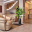 5-Foot Ficus Tree in Black Ribbed Planter