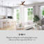132cm Ceiling Fan with Light Kit