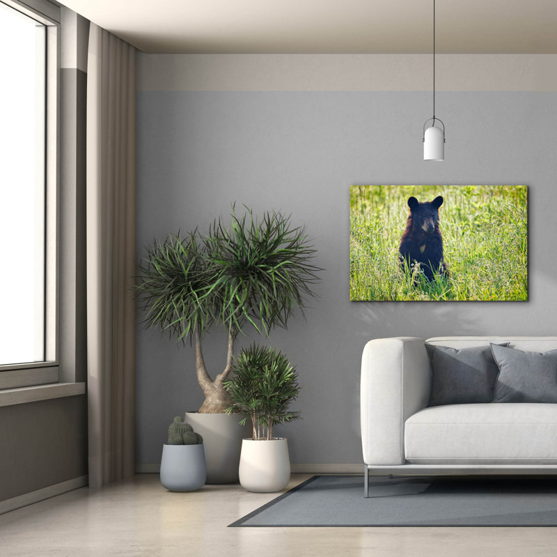 Toile épique «Black Bear Cub In The Sun» par Rick Berk
