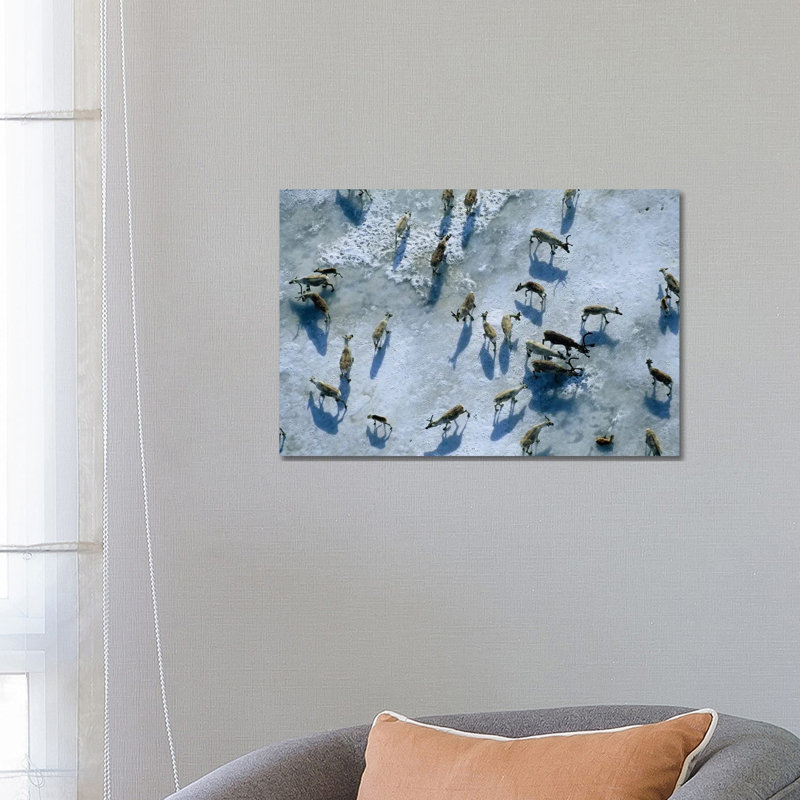 The Central Arctic Caribou Herd On A Snow Bank Near The Edge Of The Arctic National Wildlife Refuge 1 Piece Wall Art on Canvas