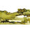 «Orrie Greenscape I Crop» par Chris Paschke