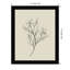 Line Drawn Flowers 1 by Border Bloom - Picture Frame Art-1428647277-1428647278