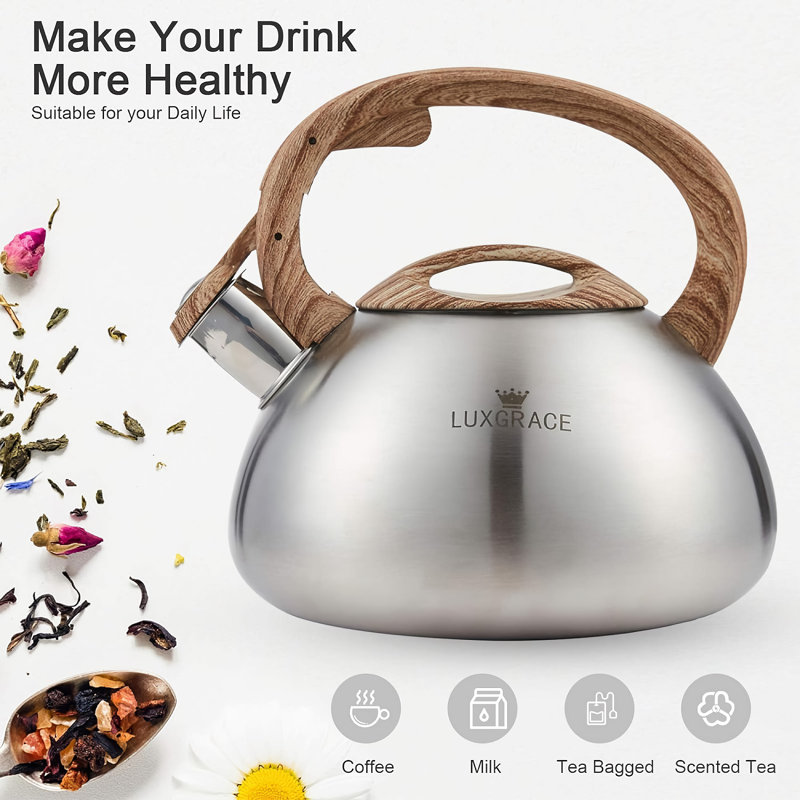 Intexca 2.5 Quarts Stovetop Tea Kettle