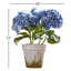 Potted 3 Stem Hydrangea-511984755-465363299