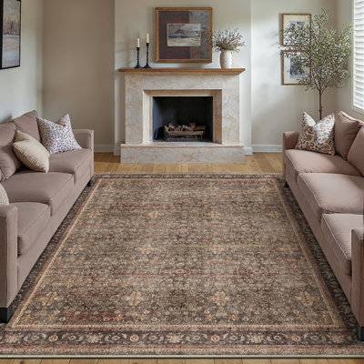 Kellems Vintage Machine Washable Area Rugs For Living Room With Non-Slip Backing