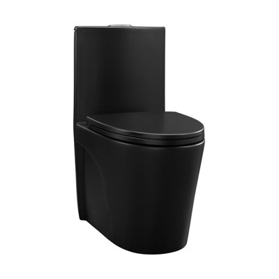 Dual-Flush One-Piece Toilet, Water-Saving Elongated Comfort Height, Soft Close Seat, Matte Black Finish