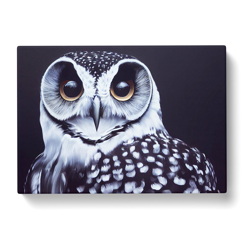 An Enigmatic Owl - Wrapped Canvas, 40cm H x 60cm W x 3cm D