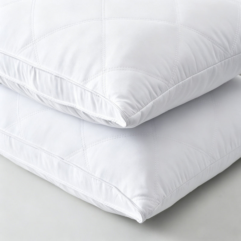 Ensemble de 2 coussins de lit à support moyen en plumes d'oie, King