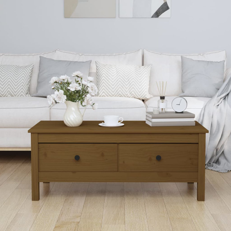 Warren Solid Wood Four Leg Coffee Table with Storage, Brown