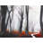 Mysterious Forest with Stream - Trees Black Framed Print