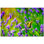 Butterfly Photo 4.25'' x 4.25'' Satin Ceramic Decorative Mural
