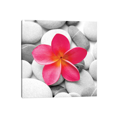 Zen Flower by PhotoINC Studio - Print on Canvas