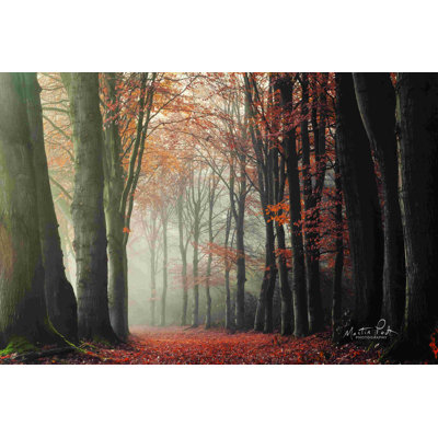 Autour du coin - photographie