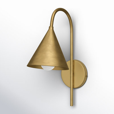 Zephyr Single Light Iron Dimmable Plug-in Wallchiere