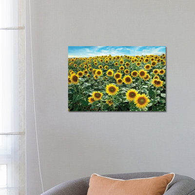 Cotona Sunflowers I 1 Piece Wrapped Canvas Wall Art