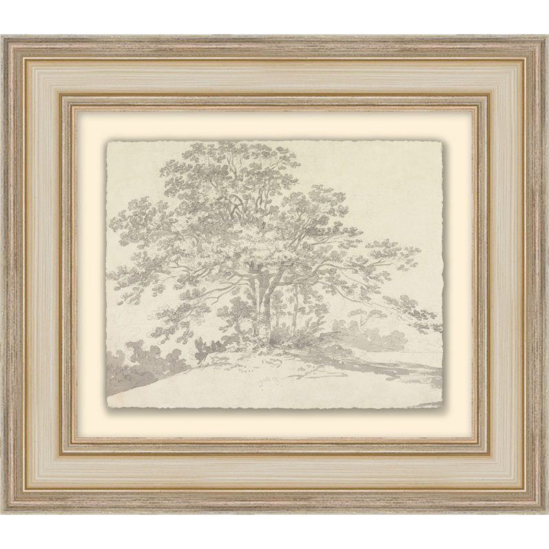 The Heirloom Tree