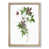 Oak Framed selected