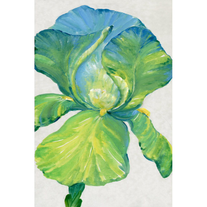 Iris Bloom en vert II, H 30 po x l 20 po