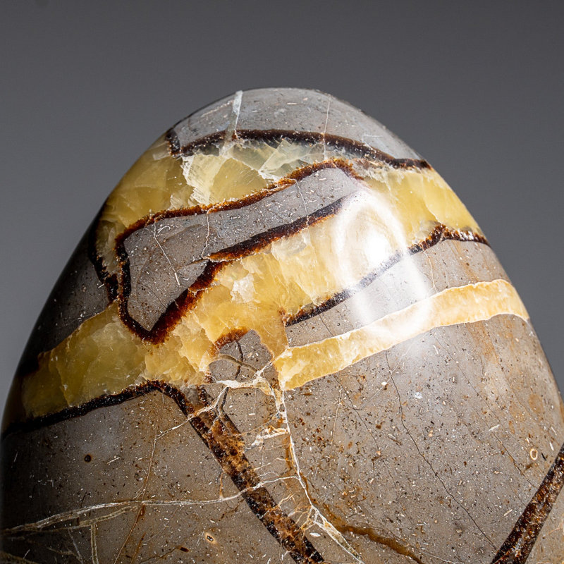 Polished Septarian Freeform from Madagascar (2.3 Lbs), 5" H x 4" W x 2.5" D