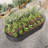 Raised Garden Bed Outdoor-710189717