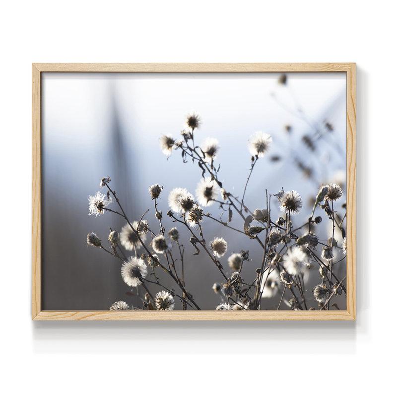Printemps duveteux - imprimé encadré - réversible, Naturel, H 11 po x l 14 po