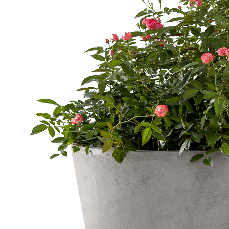Waitman Pot Planter, Natural Concrete