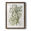 Corail Blockprint III mat encadré de qualité supérieure - prêt à être accroché-568086956-568086955