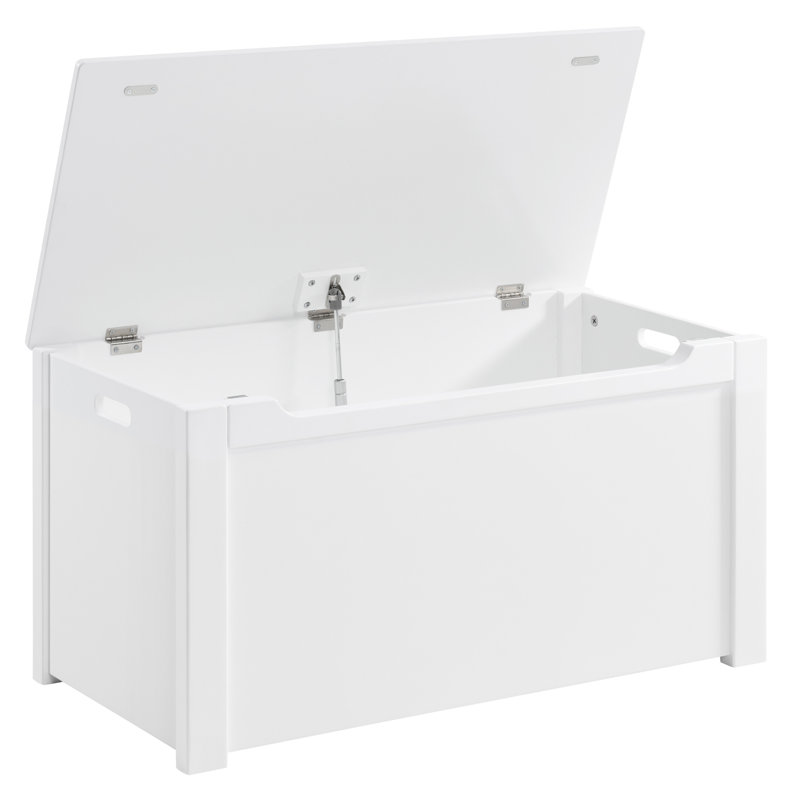 Kariss Hokku Designs Solid + Manufactured Wood Toy Box, White