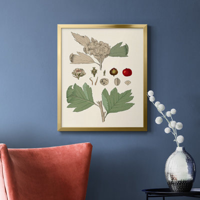 Leaves & Berries IV Premium Framed Canvas - Ready to Hang