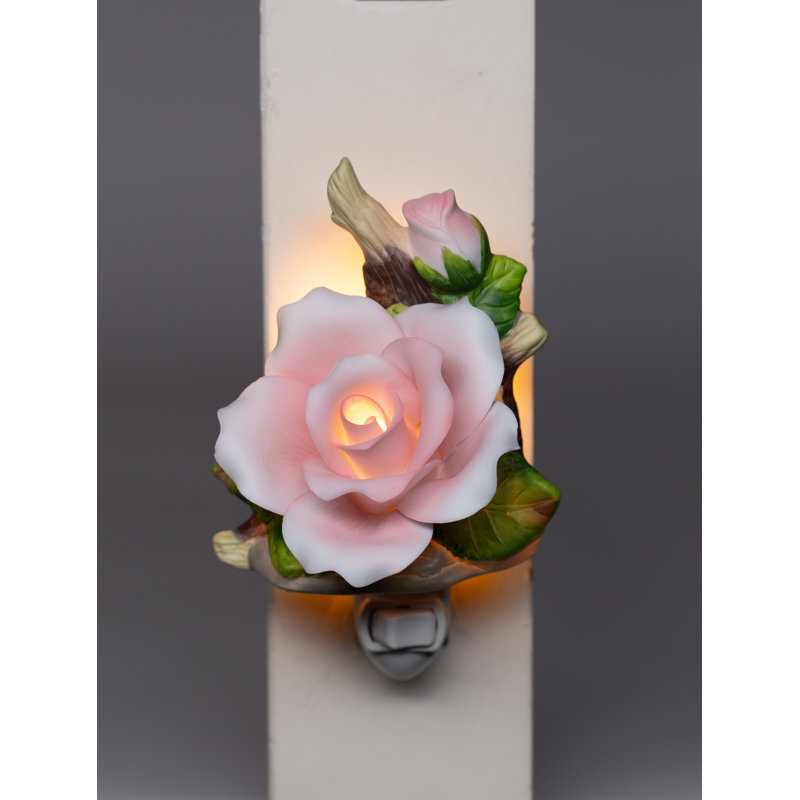 Veilleuse rose, Rose