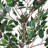 51" Artificial Ficus Tree with Plastic Pot