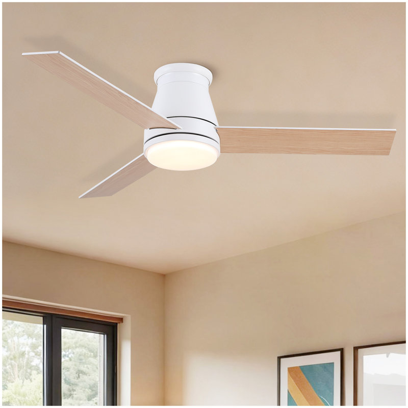 Ventilateurs de plafond 48 po