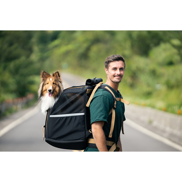 Tucker Murphy Pet™ Pet Carrier Backpack For Large/Small Cats And