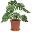 Pot Planter-1156915625-1156915627