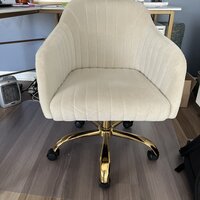 Adan Task Chair Etta Avenue Upholstery Color: Tan