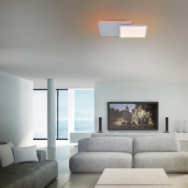Flush Mounted Ceiling Light