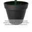 55cm Faux Plant in Pot Liner-125475143-124074659