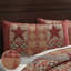 Taie décorative Dawson Star-2112783117