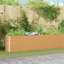 Raised Garden Bed-535497280