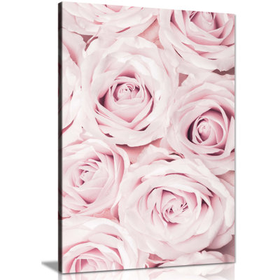 Pastel Pink Roses Close Up - Wrapped Canvas Print
