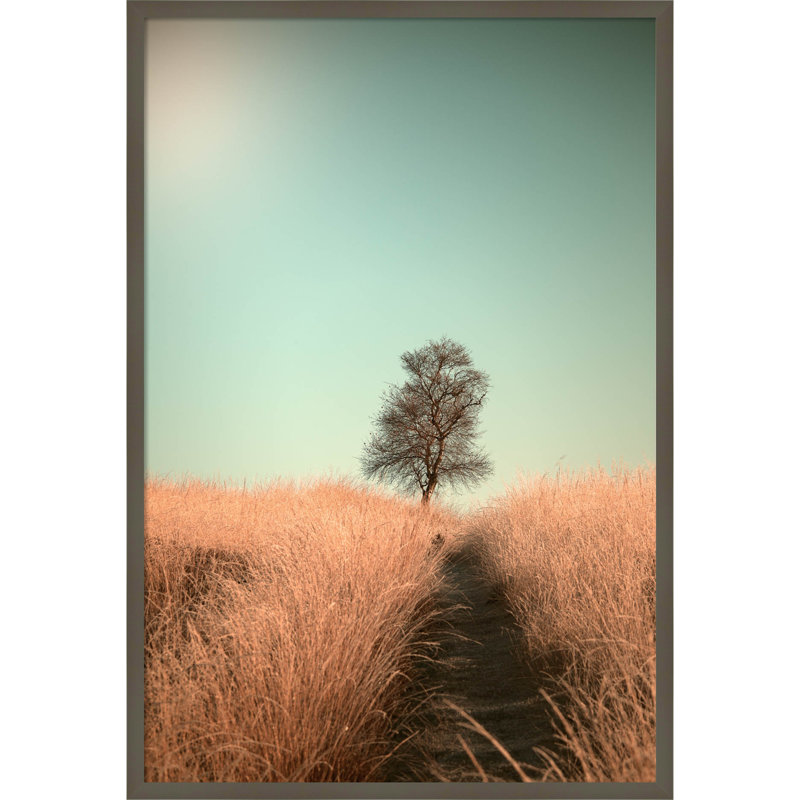 Grass And Path by Jaap Van Den, 28" W x 41" H, Gray