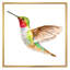 Croquis de colibri - art mural traditionnel sur toile-976766807-976766762
