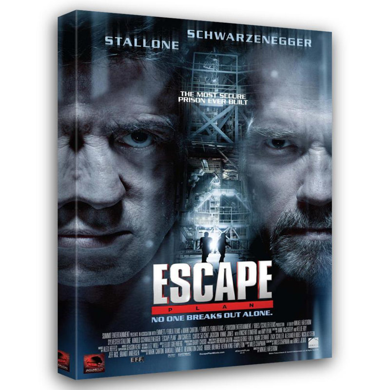 Escape Plan, 40" H x 28" W