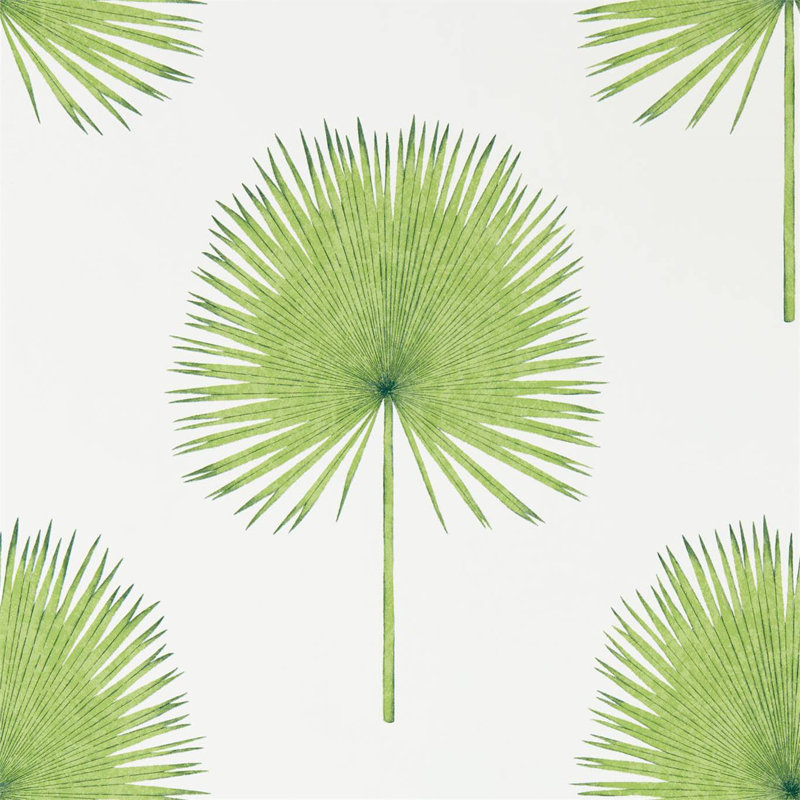 Fan Palm Wallpaper, Botanical Green